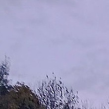 Muž, 57 rokov, Hlohovec