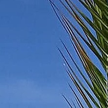 Muž, 53 rokov, Kremnica