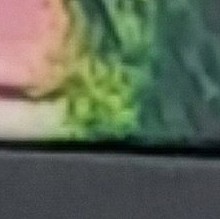 Muž, 63 rokov, Trenčín